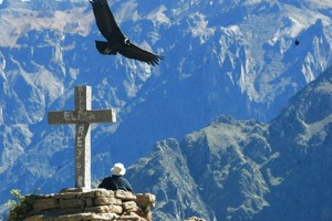 TREKKING 3D/2N- CAÑON DEL COLCA