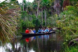 DESCUBRIENDO TAMBOPATA 3D/2N
