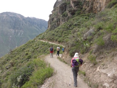 TREKKING 2DIAS /1NOCHE - COLCA CAÑON