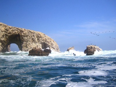 Full Day Ica: Islas Ballestas o Huacachina Extrema (Sab/Dom)