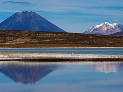 TOUR A LA RESERVA NACIONAL DE SALINAS Y AGUADA BLANCA