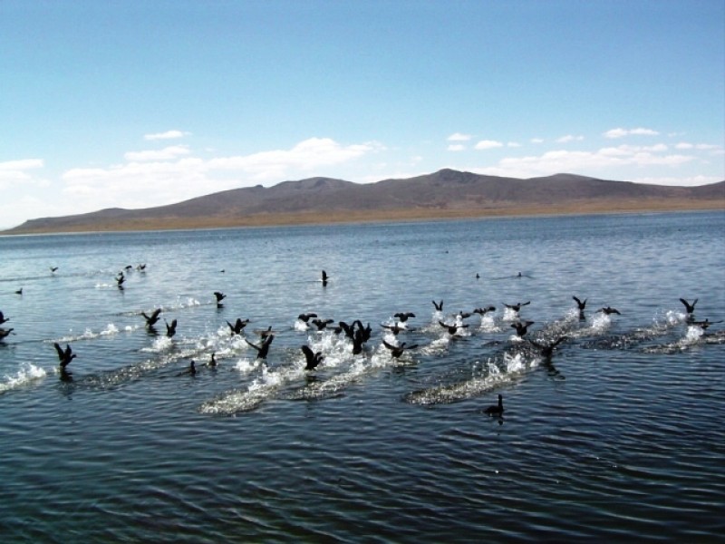 TOUR A LA RESERVA NACIONAL DE SALINAS Y AGUADA BLANCA