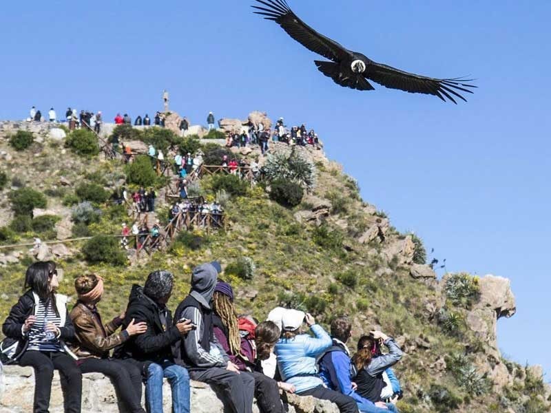 TREKKING 3D/2N- CAÑON DEL COLCA