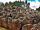 CITY TOUR EN CUSCO