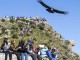TREKKING 3D/2N- CAÑON DEL COLCA